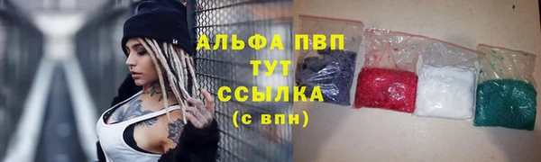 дживик Касимов