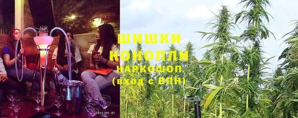 дживик Касимов