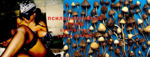 дживик Касимов