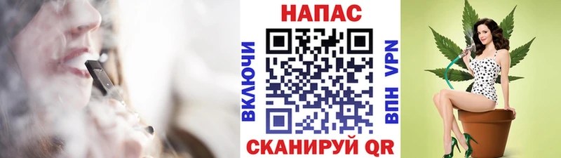 Купить закладки  Елизово  Бошки Шишки OG Kush 